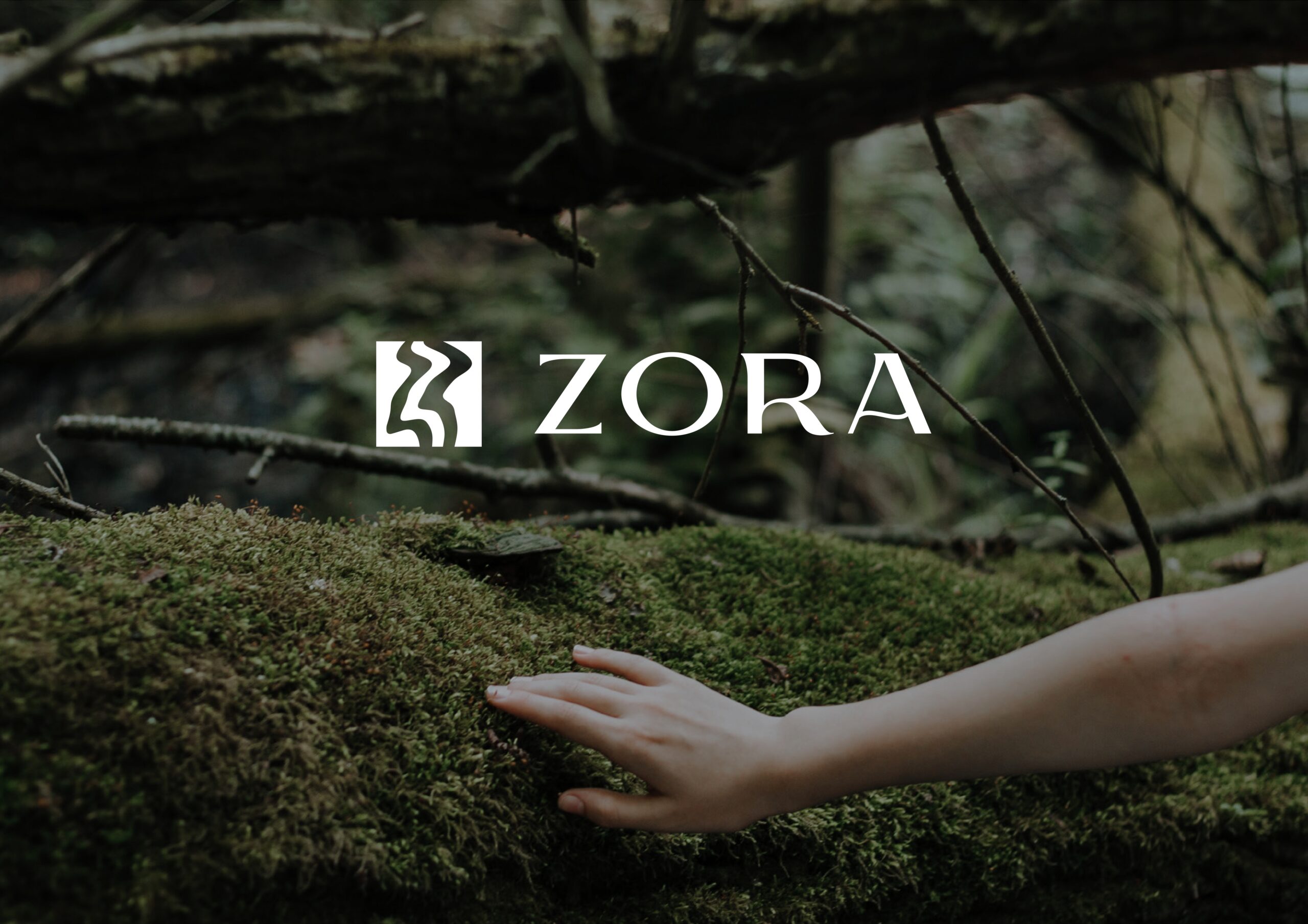 tomislav vukelja portfolio compressed page 0003